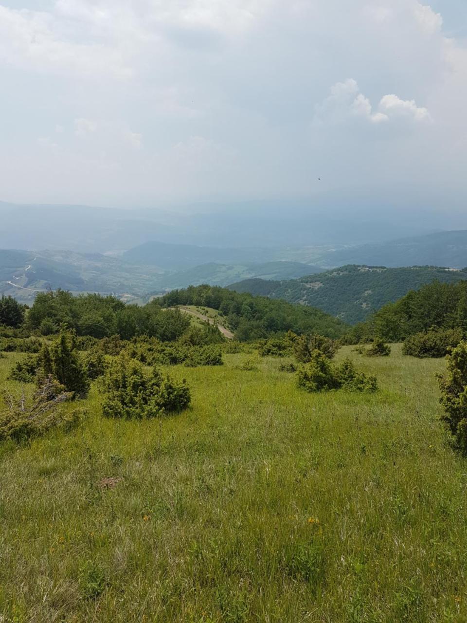 Appartement Milmari M18 Kopaonik Extérieur photo